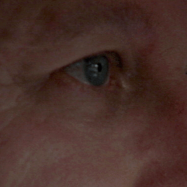 Accompagner les films - Nicolas Philibert