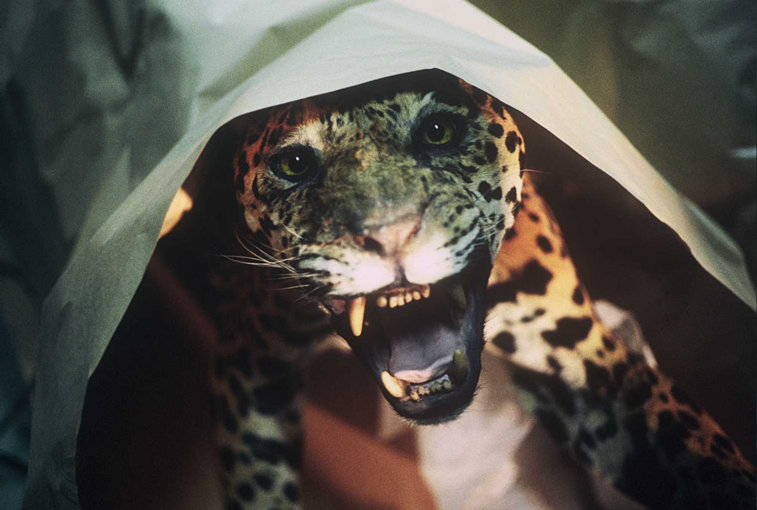 Un animal, des animaux - Nicolas Philibert