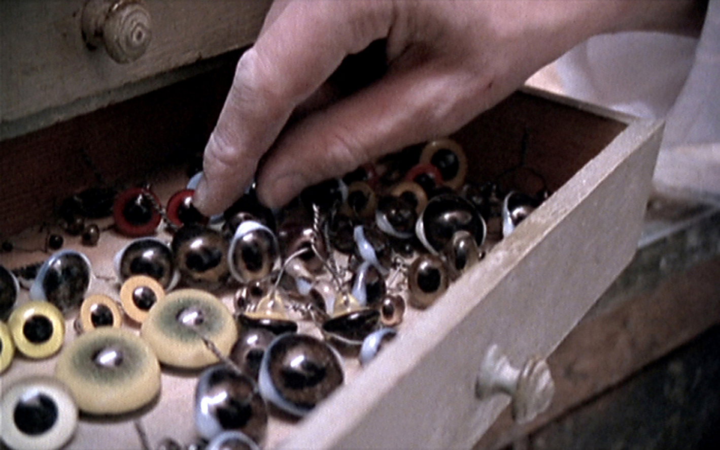 Un animal, des animaux - Nicolas Philibert