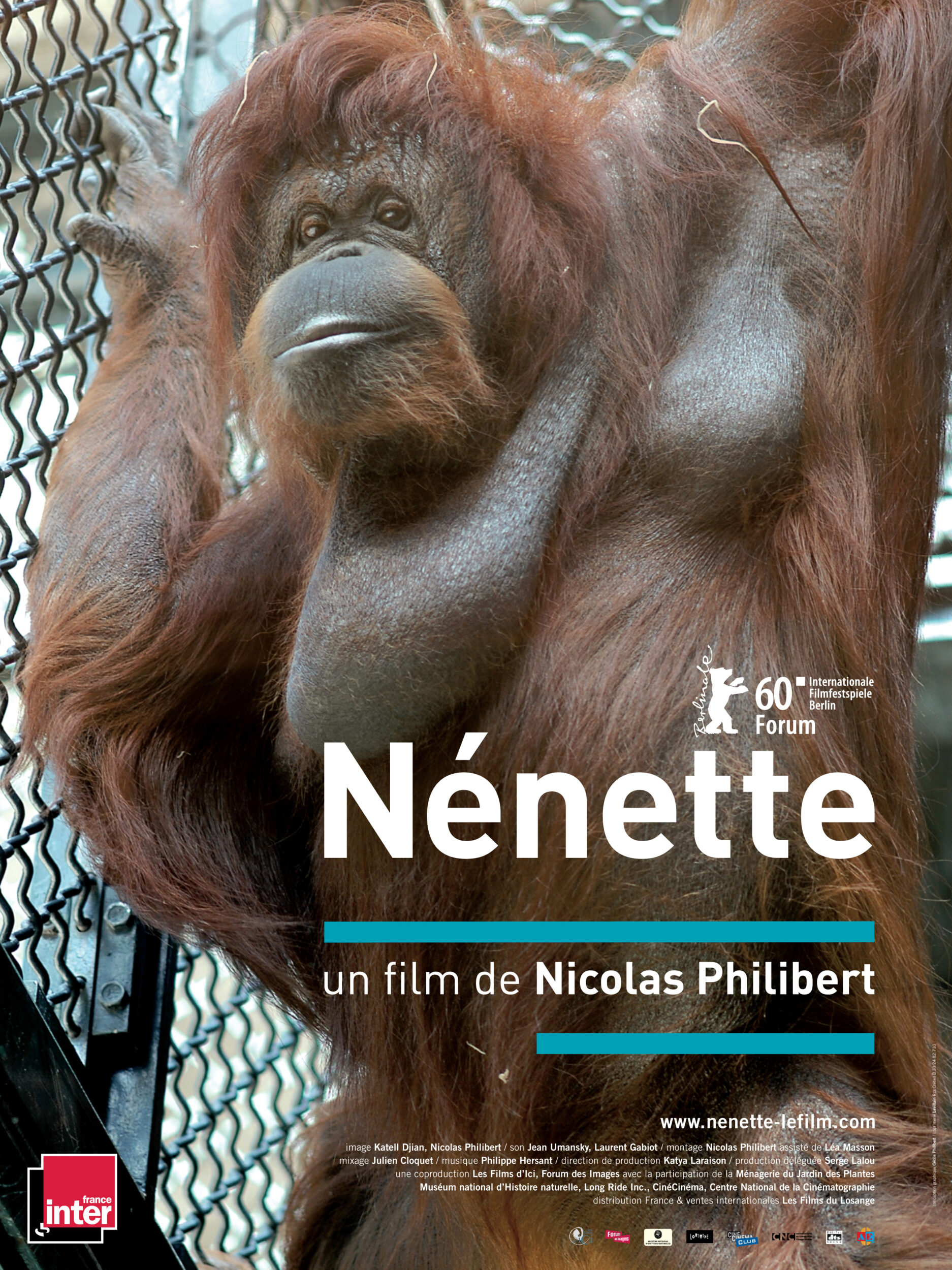 Nénette - Nicolas Philibert
