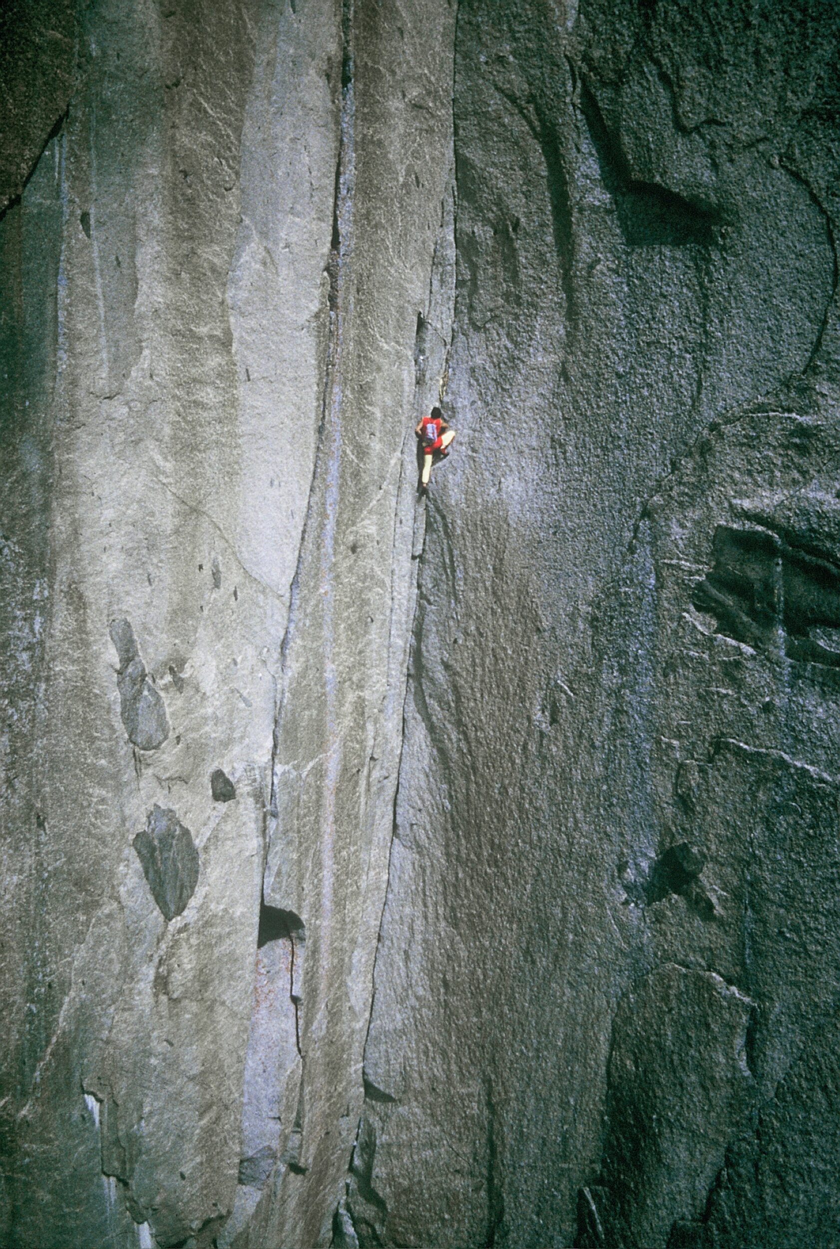 Christophe - Nicolas Philibert