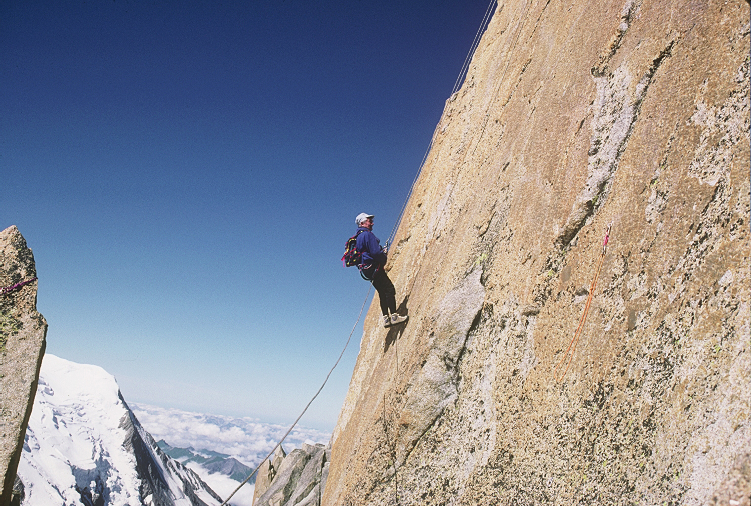 Le come-back de Baquet - Nicolas Philibert